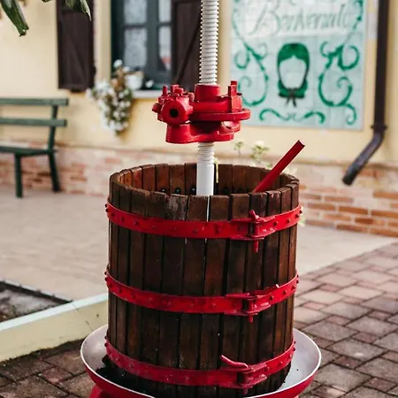 Rosa Dalfonsina Villalfonsina