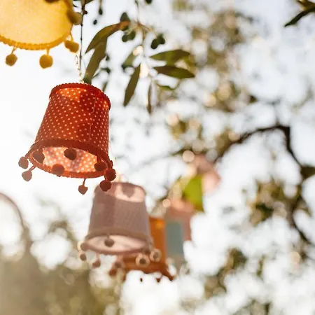 Rosa Dalfonsina Couette-café