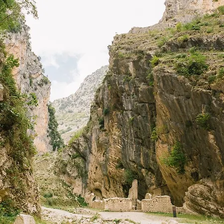 Rosa Dalfonsina Villalfonsina