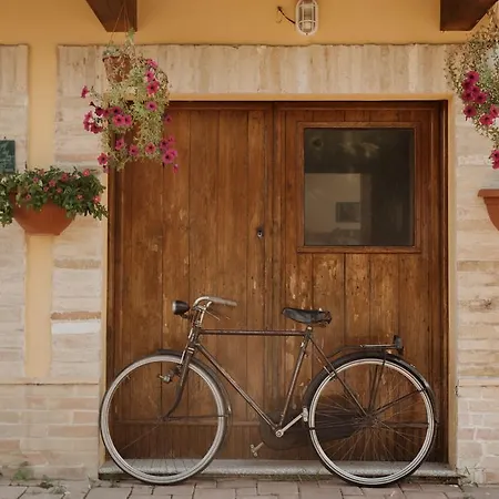 Rosa Dalfonsina Couette-café