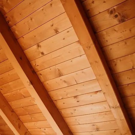 Rosa Dalfonsina Couette-café