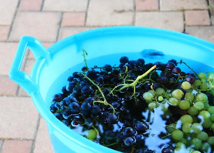 Rosa Dalfonsina 3* Villalfonsina