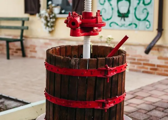 Rosa Dalfonsina Villalfonsina