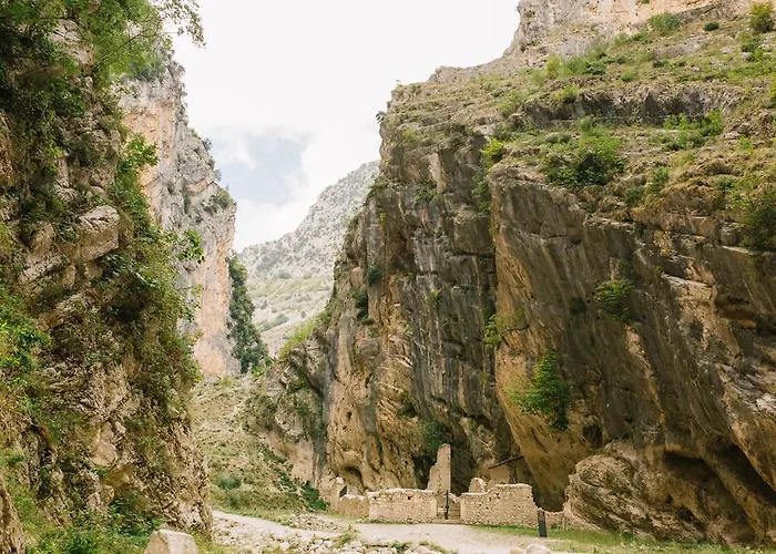 Rosa Dalfonsina Villalfonsina