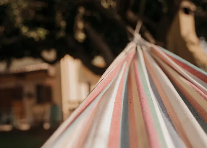 B&B Rosa Dalfonsina 3*